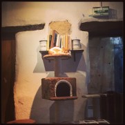 Café des Chats @LeBlogdeNatte