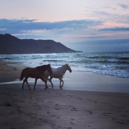 costa rica - le blog de natte