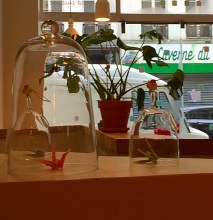 neobento2 @leblogdenatte