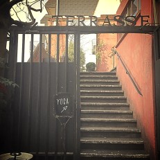 zippy event - le blog de natte