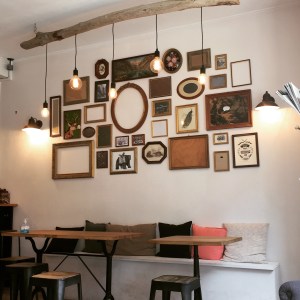 Beers and raccoons - le blog de natte