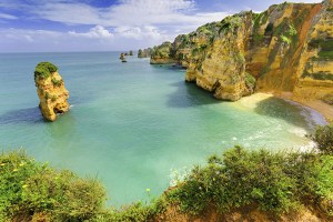 yala collective - le blog de natte