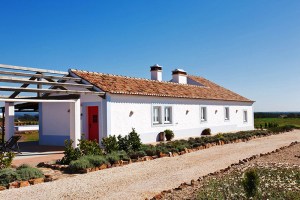 yala collective - le blog de natte