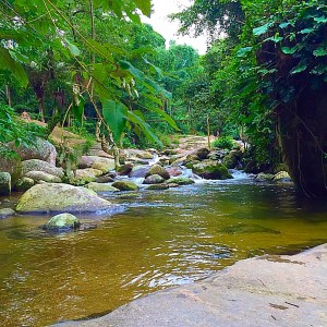 Brésil - Le Blog de Natte